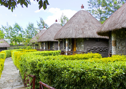 Dove Nest Lodge