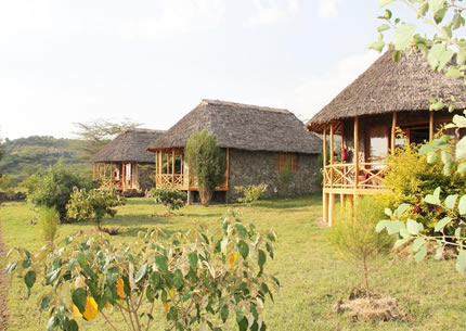 Dove Nest Lodge